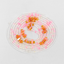 Pink Girlie Belly Beads