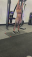 ThermaTech® Body Sculpt Leggings - Leopard Print