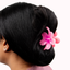 Pink Plumeria Clip - What Waist